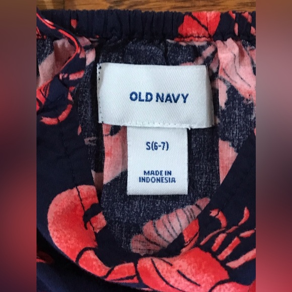 Girls Old Navy Crawfish Themed Dress NWOT
Waist Spaghetti Straps
Small … - Picture 9 of 9